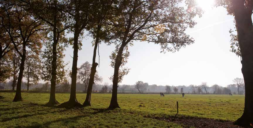 Meer weten? Kijk op www.oosthuizenwaterrijk.nl EEN ONTWIKKELING VAN BPD Regio Noord-West Leidsevaart 588 2014 HT Haarlem E verkoop.noordwest@bpd.