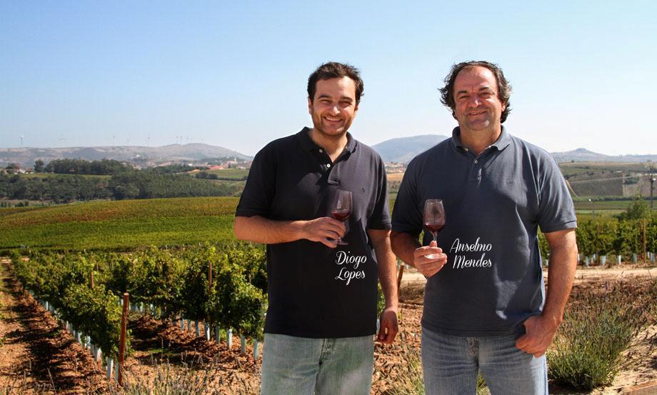 15 jaar geleden namen de kinderen het bedrijf over en begonnen hun eigen wijn te maken en met veel succes.