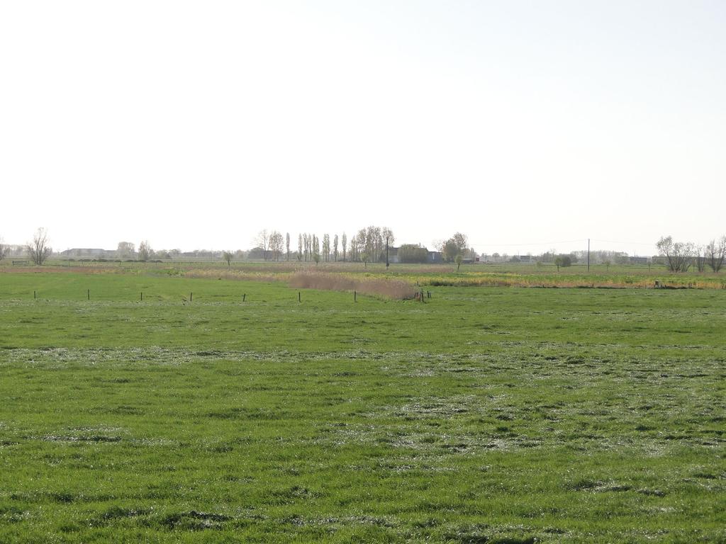 Net stroomafwaarts van het centrum van Diksmuide komt de laatste zijrivier in de IJzer uit. Het is de Handzamevaart, meteen ook haar meest vervuilde zijrivier.