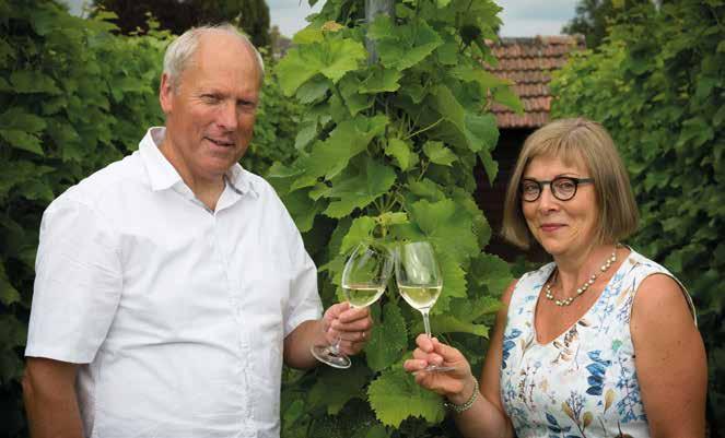 Domein De Roscam, Merelbeke Wat in 2004 begon als hobby, namelijk een proefwijngaard met 70 schimmeltolerante druivenstokken, groeide in 2012 uit tot een wijnbouwbedrijf in bijberoep.