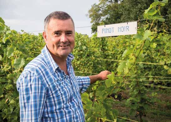 Wijndomein Pres de Gand, Borsbeke Rudy De Vos ontvangt ons in Borsbeke. De eerste aanplant gebeurde in de eigen tuin te Oosterzele, als hobby.