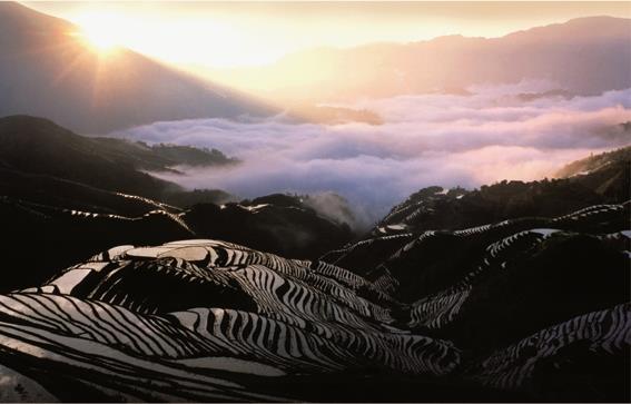 Dag 10: Longji-Yangshuo (O-M-A) Voor het ontbijt maken de moedige nog een wandeling om de rijstvelden te ontdekken bij het ochtendlicht.
