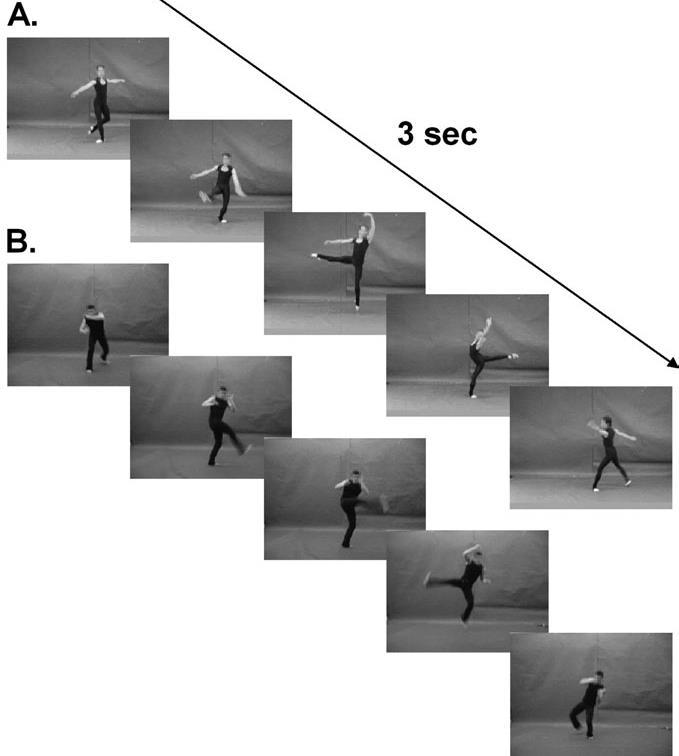 Role of Motor Experience Recent studies