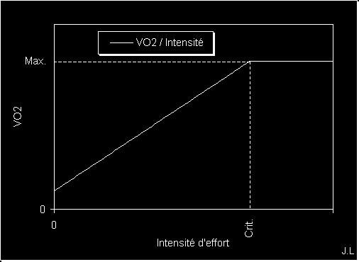 Het zuurstofverbruik (VO2) bij een aërobe inspanning: Evolueert proportioneel met de inspanningsintensiteit Verhoogt