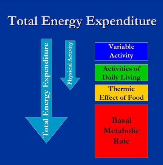Energiebalans afhankelijk van verschillende factoren Elke component kan veranderen afhankelijk van de omgeving