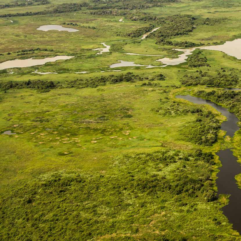 BEDRIJF AAN HET WOORD Geïnterviewd is Nick Nijman, Hoofd Milieu & Certificering, TABS Holland Ron Lamain, IUCN, Senior Expert Green Economy Een Convenant gaat verder dan regelgeving en impliceert