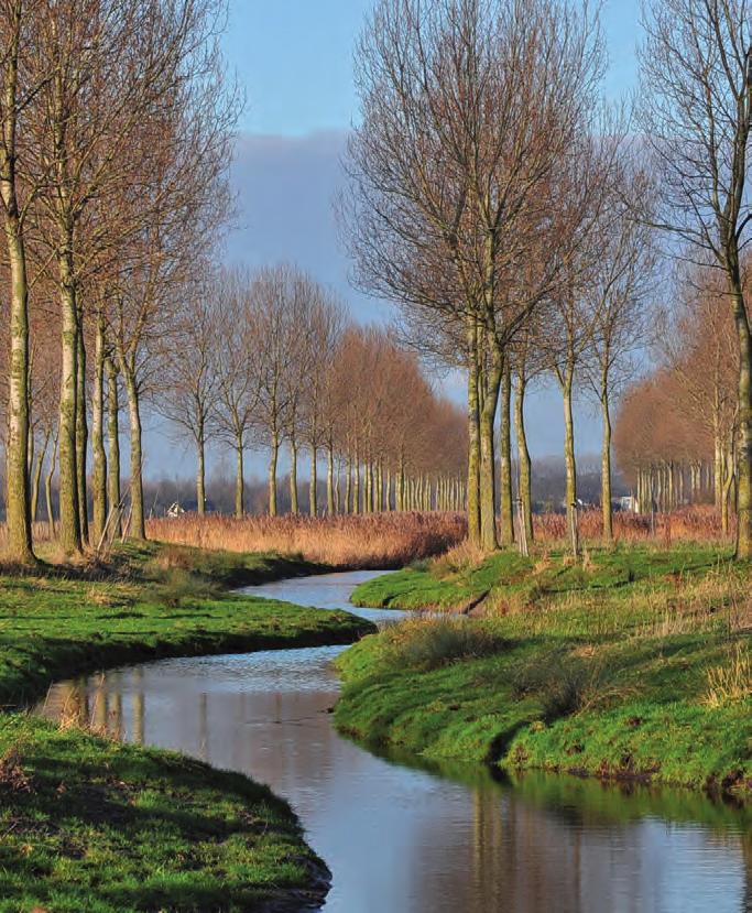 LANDSCHAP De verschillende Zeeuwse landschappen vertellen het verhaal van het ontstaan van Zeeland en de geschiedenis van Zeeland en haar inwoners.