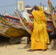 mythische boot die de geschiedenis van de Senegalrivier heeft getekend. U ontdekt de prachtige oevers met hun weelderige vegetatie, Sahel landschappen en witte zandstranden.
