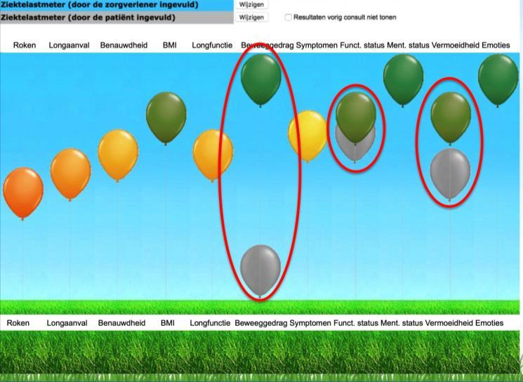 5 Fase 5: Monitoren Je kunt de ziektelastmeter ook goed gebruiken om ingezette therapieën te vervolgen of om een jaarlijks controle bezoek te evalueren.