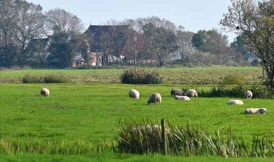 5. 1. Zicht op Westerhûs, foto: Henk