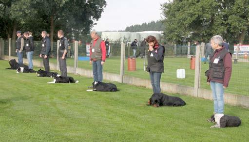snuffelwedstrijden Één week nadat de Beker en de Grote Prijs van België waren betwist, worden steevast door de hondenschool de jaarlijkse wedstrijden georganiseerd.