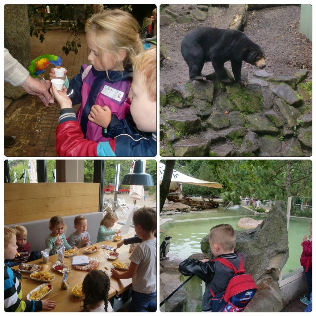 Schoolreis groep 2 en 3 De groepen 2 en 3 zijn samen op schoolreis geweest naar de dierentuin in Munster. Hieronder een aantal foto s!