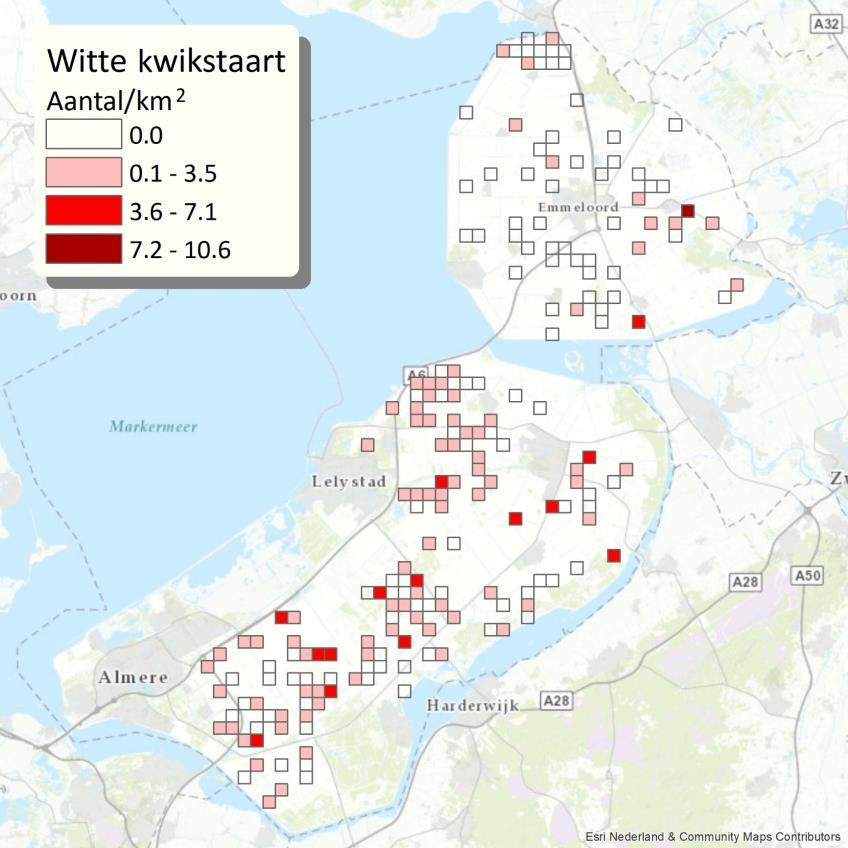Resultaten Meetnet Agrarische Soorten 2017 Figuur 3.14 Geschat aantal broedparen witte kwikstaart per km² in 2017.