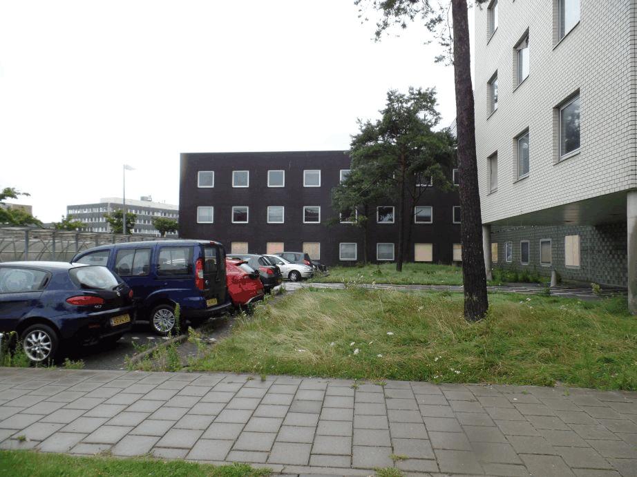 Langs de zuidgevel van het hoofdgebouw is een grindtuin en een bestraat parkeerterrein aanwezig.