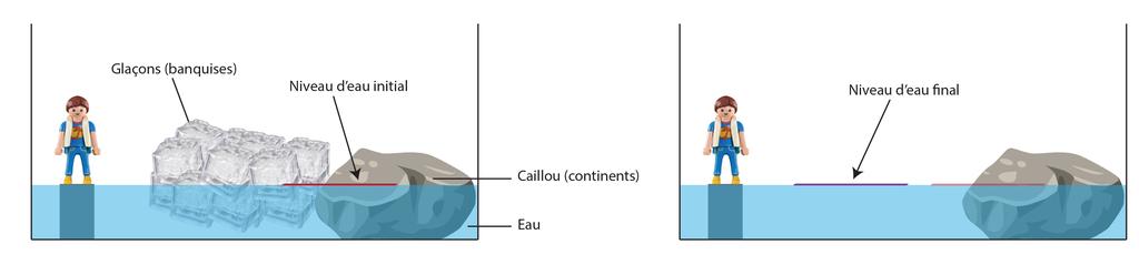 LEERKRACHTENFICHE Samenvatting van de experimenten Welk effect heeft een temperatuurstijging op het water op onze planeet aarde?