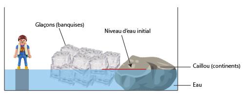LEERLINGENFICHE Experiment 2: Bepalen welke invloed het smelten van het pakijs heeft op de zeespiegel Materiaal: 1 grote schaal of pot 10 tot 15 ijsblokjes 1 steen Water Eventueel een