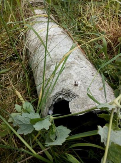 OPMERKING: Tijdens het onderzoek werd vastgesteld dat er zich op bepaalde plaatsen in de tuin bouwafval (puin, steen, ) bevond.