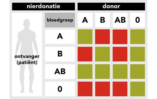 beenmerg. Er gelden hiervoor strenge(re) voorwaarden: - Doneren van een orgaan mag geen blijvende schade aanrichten aan de gezondheid van de donor.