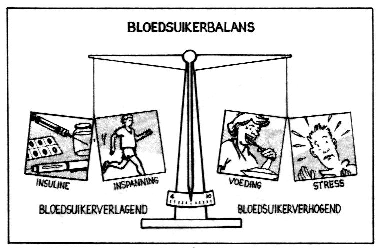 Hoofdstuk 4 Hypo- en hyperglycemie 4.1 Inleiding Normaal gesproken schommelt het bloedglucosegehalte tussen 4 en 8 mmo/l.