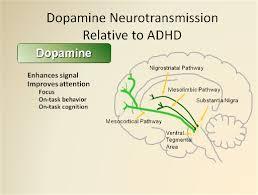 Een kind met ADHD is door een tekort aan dopamine niet in staat om de belangrijke boodschappen te selecteren uit de stroom van informatie waarmee de hersenen Ik heb ADHD worden bestookt.