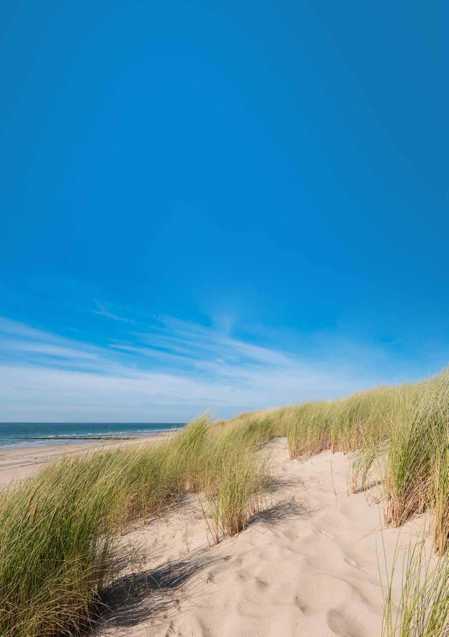 Noordzeeweekend van 22 tot 24 juni 2018 ÆÆ2 overnachtingen met ontbijtbuffet ÆÆaperitief met streekspecialiteit op de dag van aankomst ÆÆvisheerlijkheden uit de Noordzee op vrijdagavond Æ