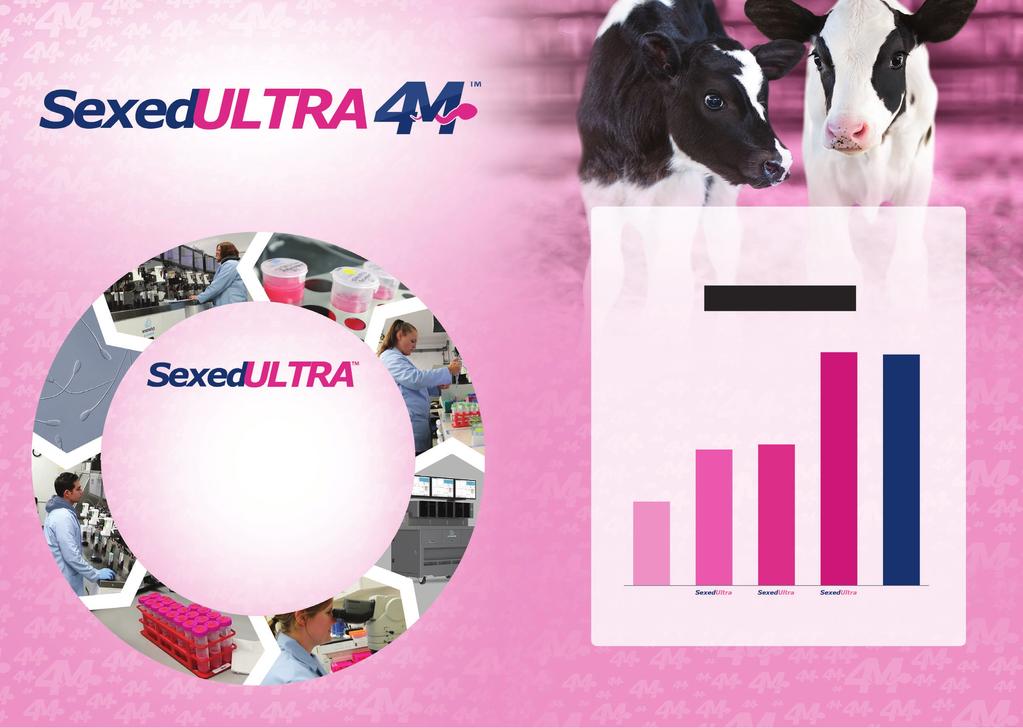 Gesekst sperma Sexed Ultra Plus 4M de nieuwe trend? Verschil Technologie beduidend meer omzet en aanwas op, waarmee met worden verdiend.