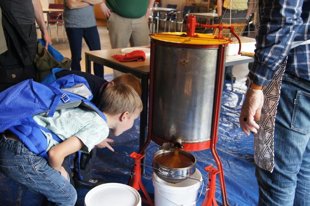 De cocons worden in het najaar geoogst, tijdens de Coconoogst Workshop en daarna in een thermische koeling bewaard tot het voorjaar.