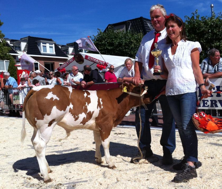 Categorie 8, vrouwelijk ouder dan 4 jaar. In deze reeks waren 4 dieren om te keuren. Knedo Susan werd eerste van Knedostables Knetermann. Susan had een beste bespiering en prima benen.