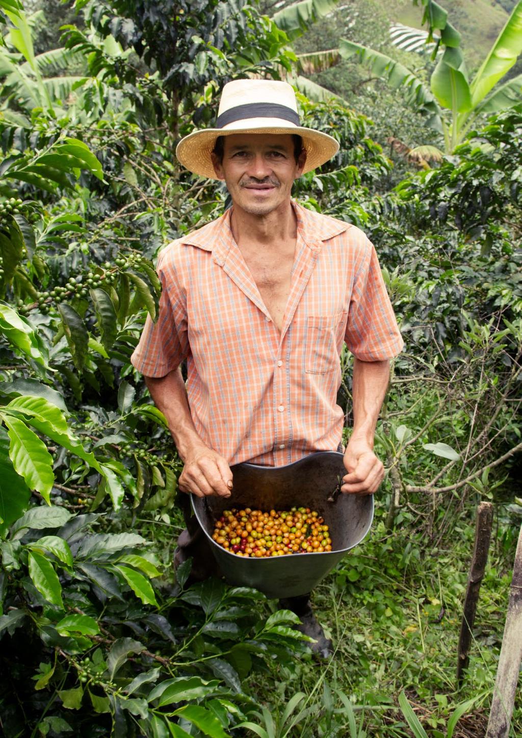 We werken samen met koffieboeren en partners als Rainforest Alliance om te zorgen dat koffieliefhebbers kunnen genieten van hun favoriete koffie. Nu en in de toekomst.