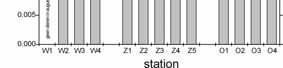 de juvenuiele Marenzelleria wireni op de 13 stations op het Balgzand