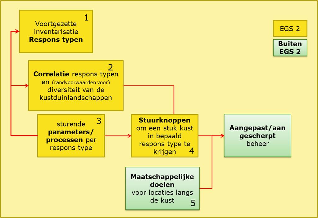 3 Voorgesteld onderzoek Het onderzoek onder EGS II richt zich op het nagaan in hoeverre er daadwerkelijk stuurmogelijkheden zijn voor : Kustzonebeheer en Zeereepbeheer.