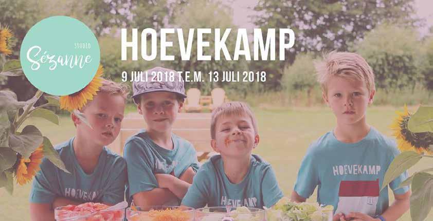 Het hoevekamp is een dagkamp van 9 juli t.e.m. 13 juli voor creatieve kinderen met een hart voor de natuur. De deelnemers maken kennis met de boomgaard, de moes- en de kruidentuin van de Huysmanhoeve.