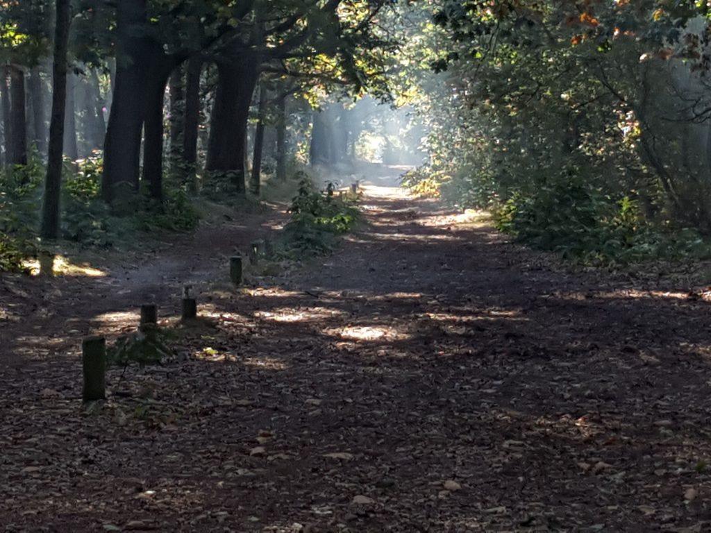 bent. Nu breng je de energie terug naar de ruimte waar je nu bent. En als laatst breng je de energie terug een arm lengte om jou heen naar alle kanten. Zo groot hoort je licht aura te zijn.