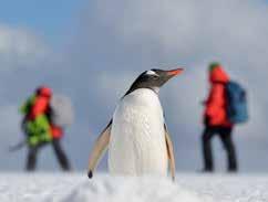 Elke dag is anders, en elke dag is er iets nieuws om te ontdekken. 1.00 ONTMOETINGEN Een onvergetelijke ervaring. We staan oog in oog met de pinguïns.