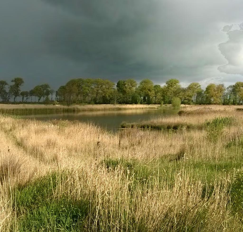 Vlaanderen is open ruimte