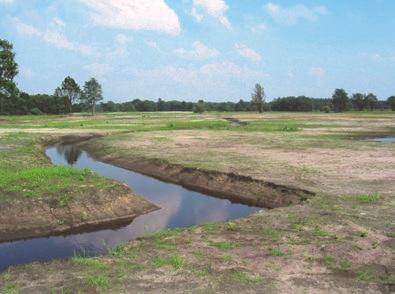 Landelijk zijn her en der beekherstelprojecten uitgevoerd. Ook in Drenthe zijn de laatste jaren een aantal beekherstelprojecten uitgevoerd.