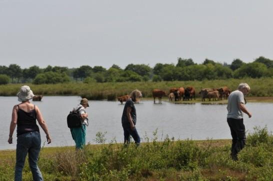 De nummering is aangegeven door SBB en veel globaler dan in het verslag van 2015.