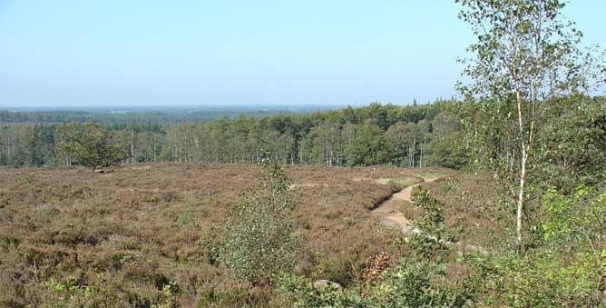 2 Probleemstelling, doelstelling en beleidskader 2.1 Probleemstelling Tot de Ecologische Hoofdstructuur (EHS) behoren de kerngebieden Sallandse Heuvelrug en het Drents Plateau.