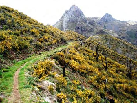 VRIJDAG 15 JUNI 2018 Ontbijt in het hotel Start van Trail 2 «Het Centraal Massief» 27 km et 1500 hm + SAMEDI 16 JUNI 2018 Ontbijt in het hotel Start van Trail 3 «De Nonnenvallei» 23 km en 1900 hm +