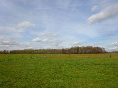 Weiland Rechts van en achter de woning is een royaal perceel cultuurgrond gelegen.