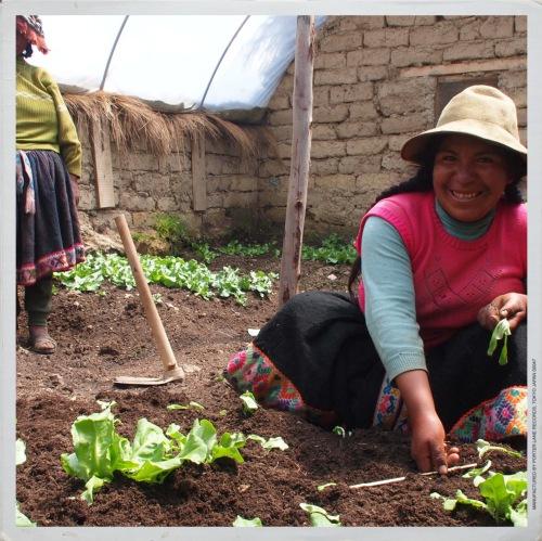 Doelstellingen We bouwen samen met de lokale bevolking tuinkassen, leggen moestuinen aan en geven biologische tuinbouw- en kookles op school en aan de dorpelingen.