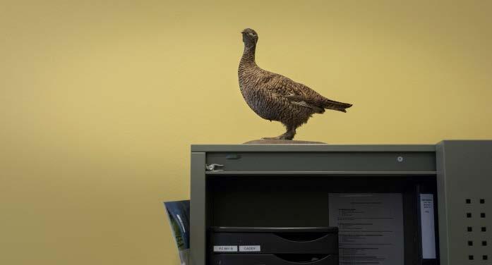 HET JUISTE GEREEDSCHAP Volgens Van Voorst is de organisatie door de jaren heen steeds enthousiaster geworden over het ERP-systeem. Van onze keuze hebben we nog geen seconde spijt gehad.