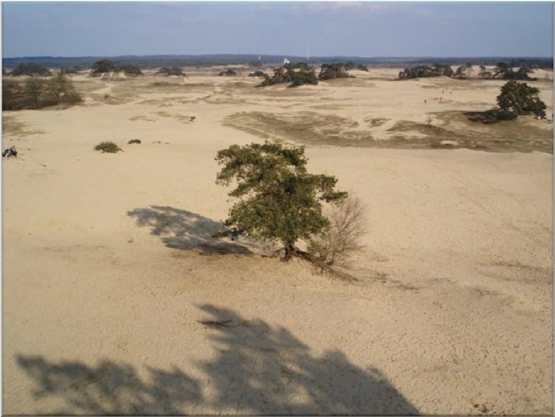 Stikstof op de veluwe Veluwe