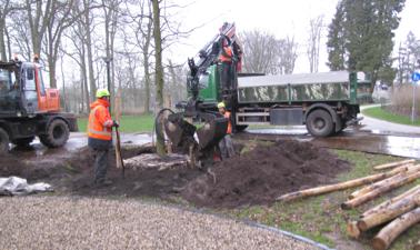 Verdichting van de grond rond de boom bij het aanvullen. Stap 8 : Afwerking van de plantplaats De afwerking van de plantplaats is afhankelijk van de situering van de boom.