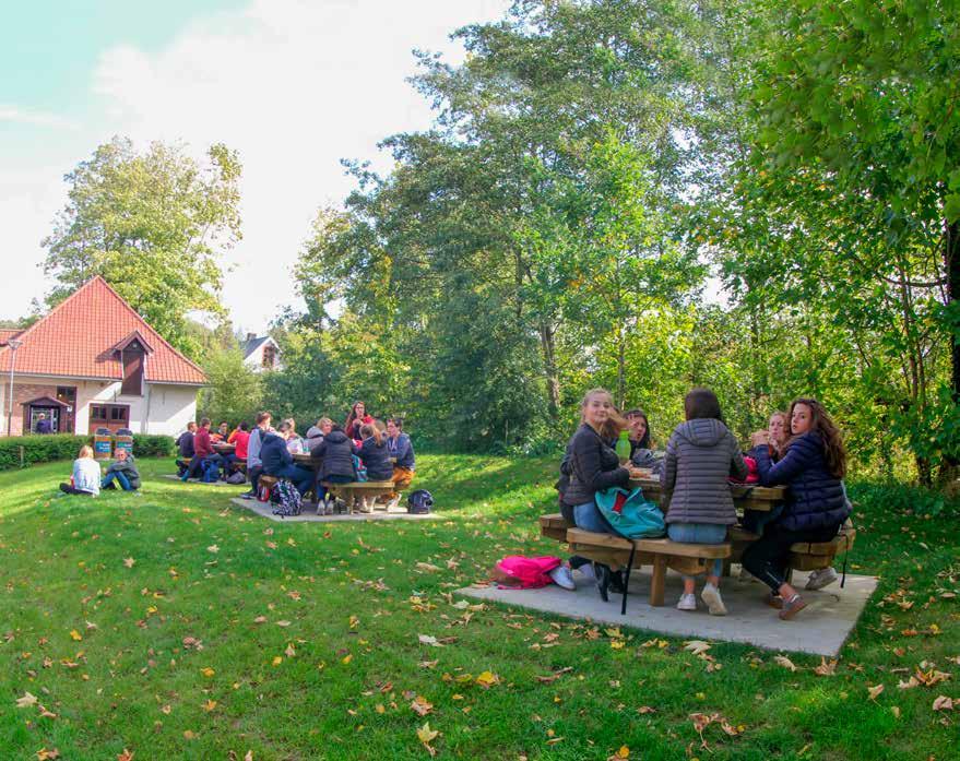 ZONNEBEKE BEWEEGT PARKWANDELING Het kasteeldomein van Zonnebeke (29 ha) heeft een bijzonder rijk verleden.