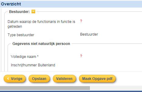 11 Overzicht van de opgave Het laatste scherm van de opgave is een overzichtsscherm. Op dit scherm worden alle opgevoerde (en niet opgevoerde maar wel verplichte) gegevens van de opgave getoond.