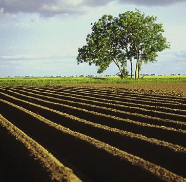 drie vragen over ons maaibeleid stand van zaken projecten deltaplan agrarisch waterbeheer muskusrattenbeheer 2016 verschil luchtfoto's en hoogtekaarten schouw dijken en kaden inspectievluchten