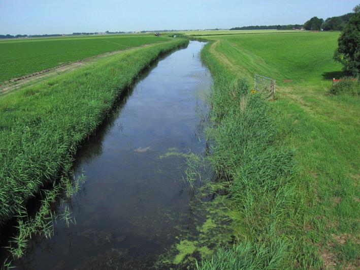 Drie vragen over ons maaibeleid Steeds meer slootkanten gaan begroeid de winter in. Dit valt veel agrariërs op. Hieronder antwoord op de drie meest gestelde vragen over ons maaibeleid.