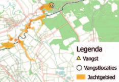 De is de meest waargenomen en waarschijnlijk ook de meest algemene vleermuissoort van Nationaal Park De Meinweg. Tijdens het onderzoek werden er verschillende verblijfplaatsen van deze soort gevonden.