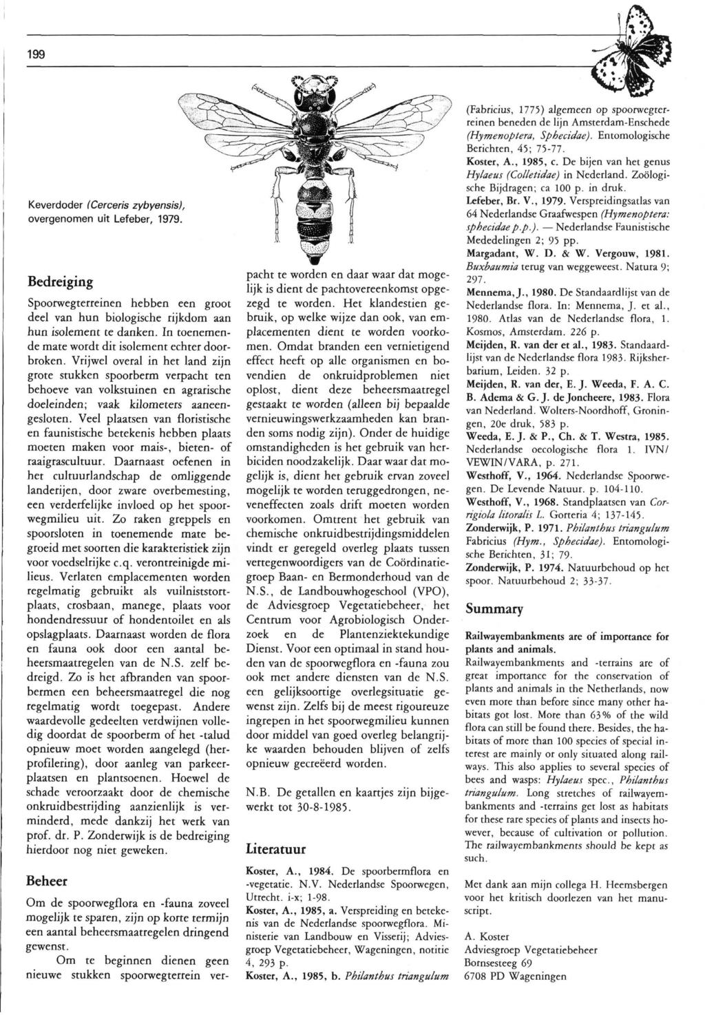 199 Keverdoder (Cerceris zybyensis), overgenomen uit Lefeber, 1979. Bedreiging Spoorwegterreinen hebben een groot deel van hun biologische rijkdom aan hun isolement te danken.